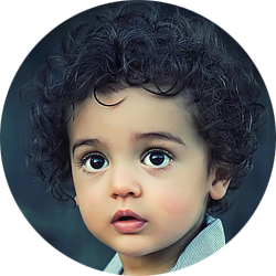 网页在线发短信平台